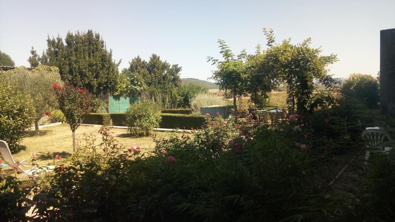 La Vigneronne Bed and Breakfast Villelongue-d'Aude Εξωτερικό φωτογραφία